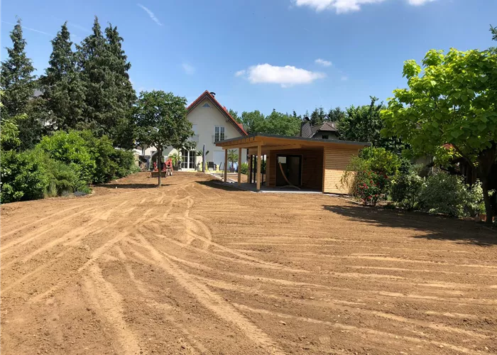 Rasensaat nach Pflanzung der Umrandung